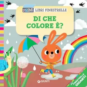Direct Beschikbaar Di che colore è? Ediz. a colori