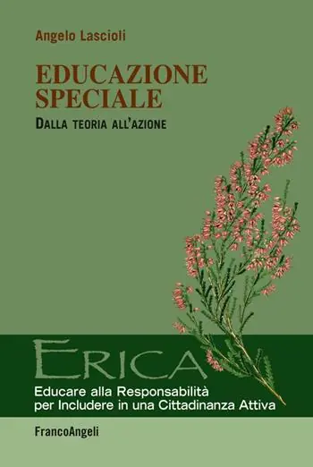 Educazione speciale. Dalla teoria all‘azione Must-Have