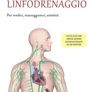 Mappa del linfodrenaggio. Per medici, massaggiatori, estetisti Bestel Nu