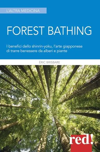 Forest bathing. I benefici dello Shinrin-yoku, l‘arte giapponese di trarre benessere da alberi e piante Favoriet