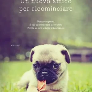 Veilige Betaling Un nuovo amico per ricominciare