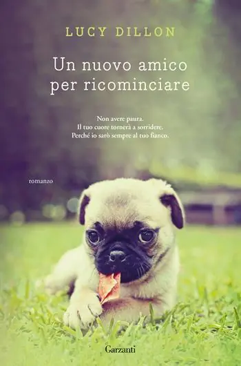 Veilige Betaling Un nuovo amico per ricominciare