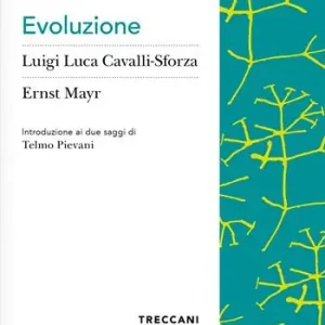 Evoluzione Veilige Betaling