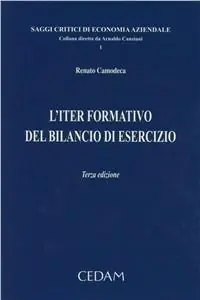 L‘iter formativo del bilancio di esercizio Lage Kosten