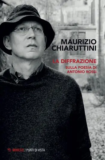La diffrazione. Sulla poesia di Antonio Rossi Nieuw