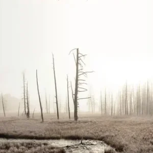 Aanbieding Il male della natura. Critica della violenza, letteratura, storia naturale