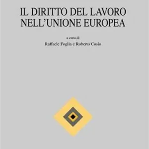 Il diritto del lavoro nell‘Unione Europea Laatste Kans