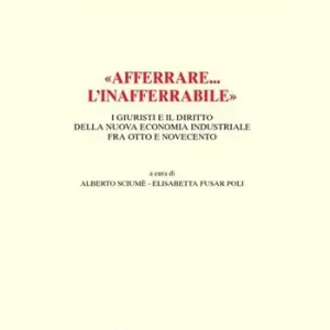 «Afferrare... l‘inafferrabile». I giuristi e il diritto della nuova economia industriale fra Otto e Novecento Fabrieksprijs